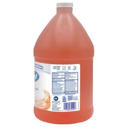 Dial Professional Antibacterial Foaming Hand Wash, Plus Aloe, Original, 1 gal, 4/Carton (DIA35452)