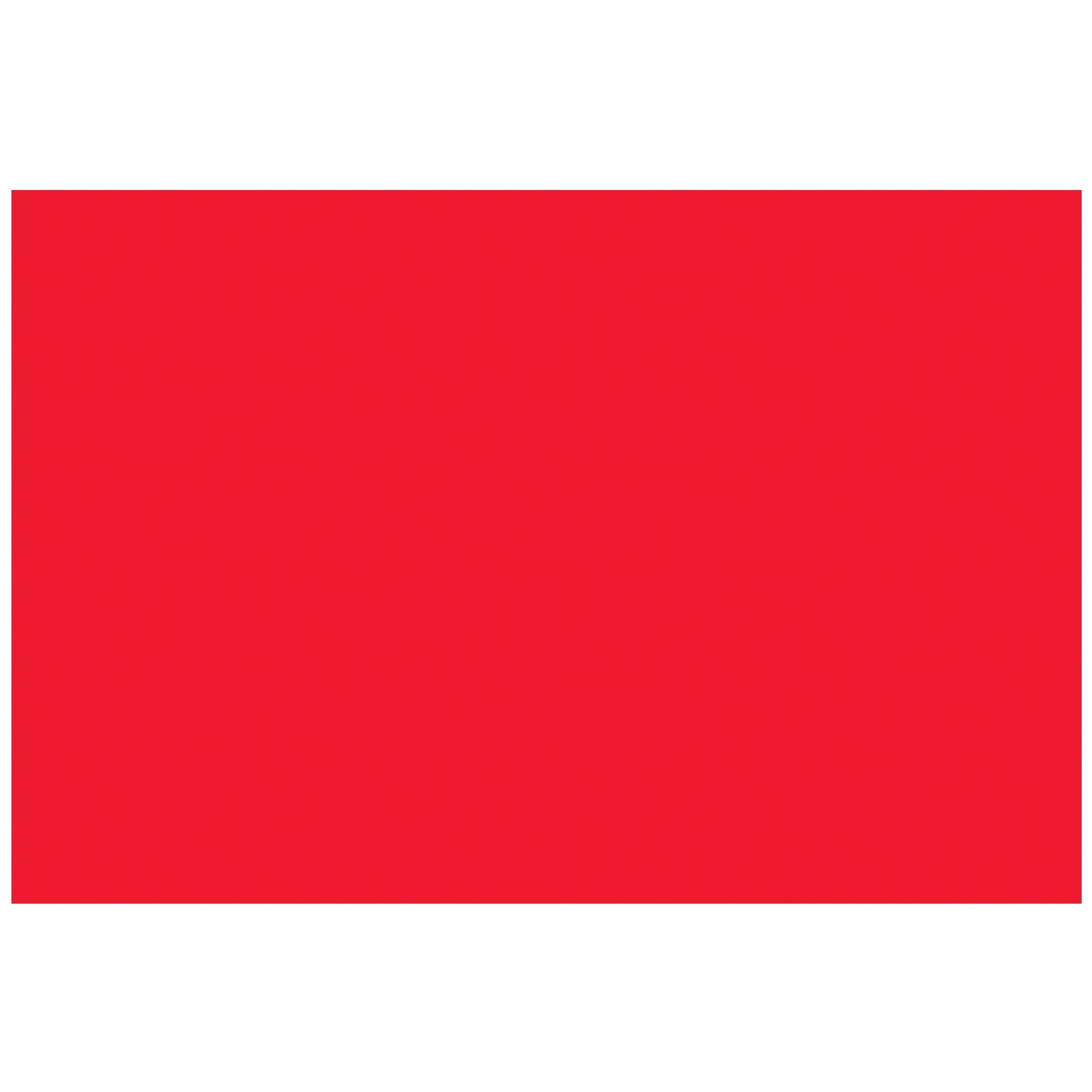 tape-logic-r-2-x-3-fluorescent-red-removable-rectangle-labels-dl1590fr_1