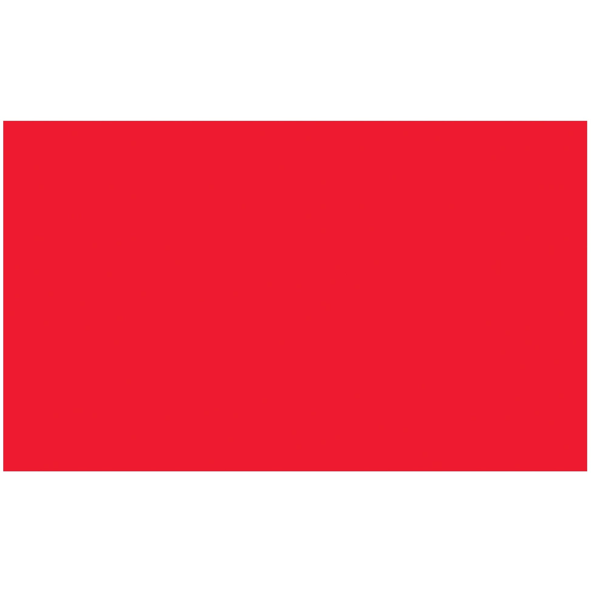 tape-logic-r-3-x-5-fluorescent-red-removable-rectangle-labels-dl1592fr_1