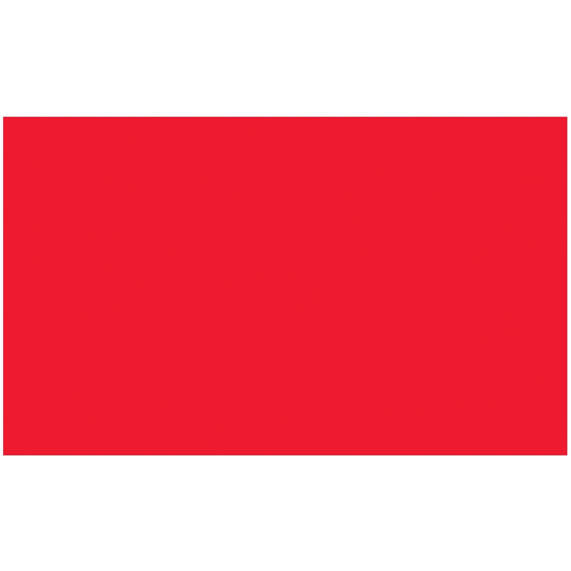 tape-logic-r-3-x-5-fluorescent-red-removable-rectangle-labels-dl1592fr_1