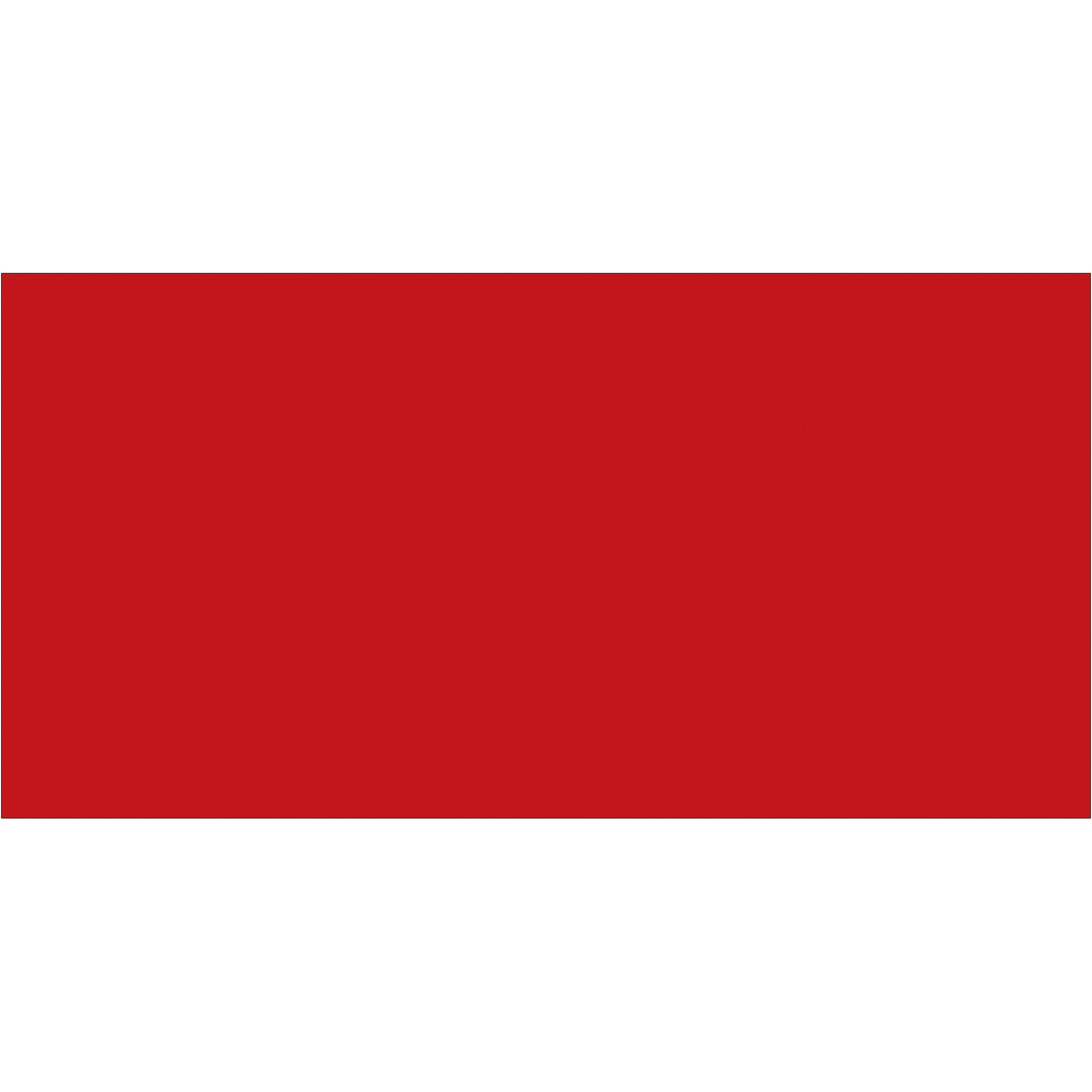 tape-logic-r-2-x-4-red-inventory-rectangle-labels-dl636a_1