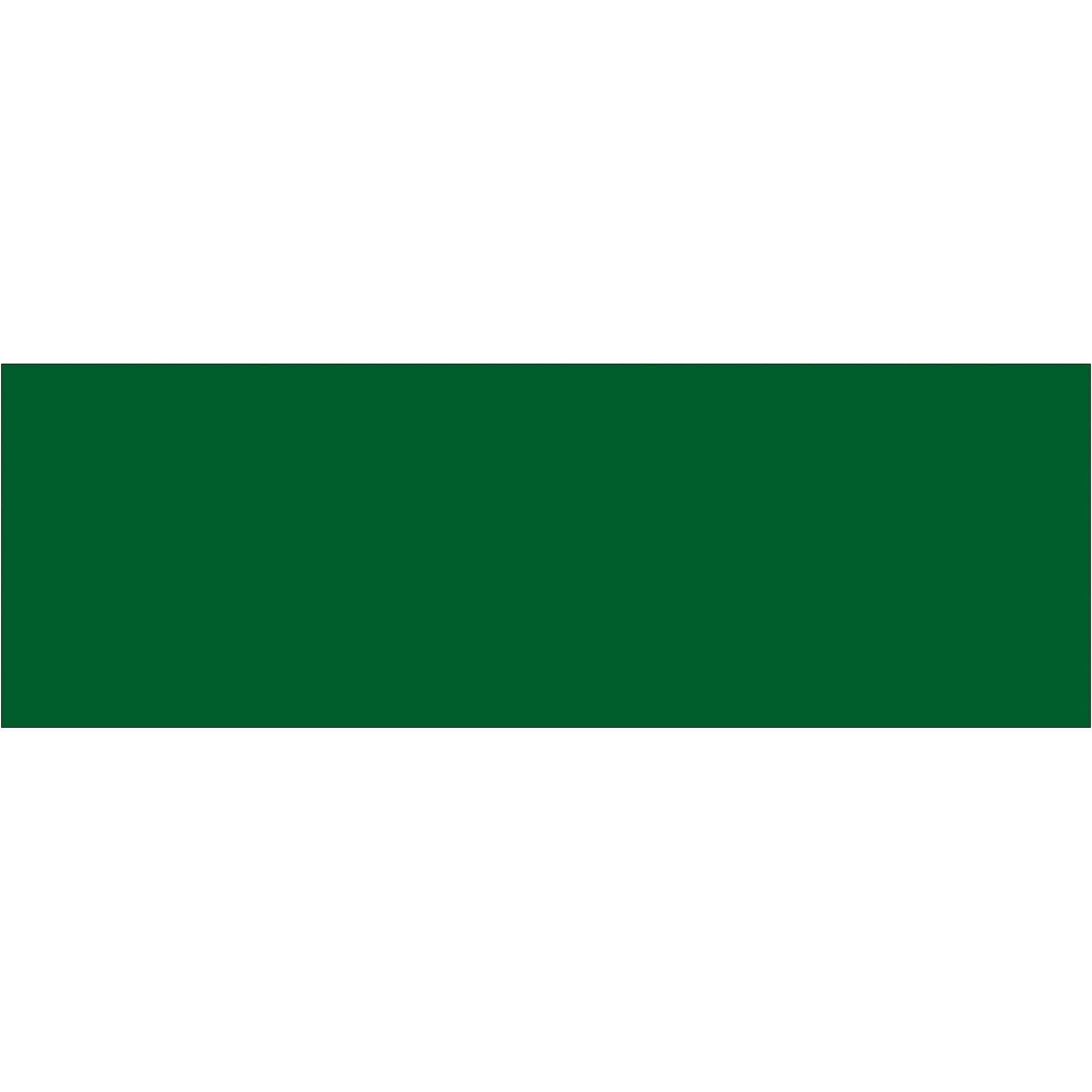 tape-logic-r-3-x-9-green-inventory-rectangle-labels-dl637d_1