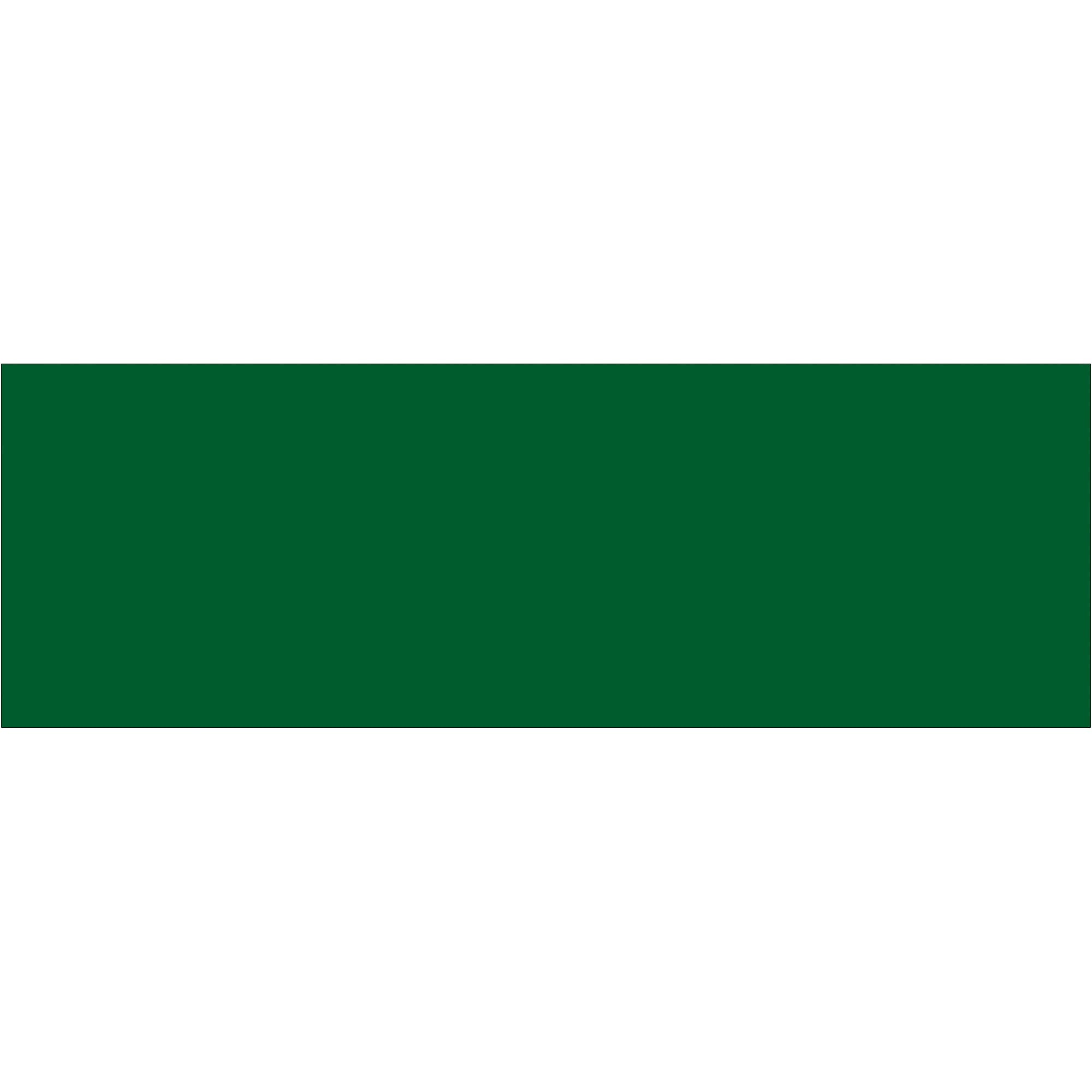 tape-logic-r-3-x-9-green-inventory-rectangle-labels-dl637d_1