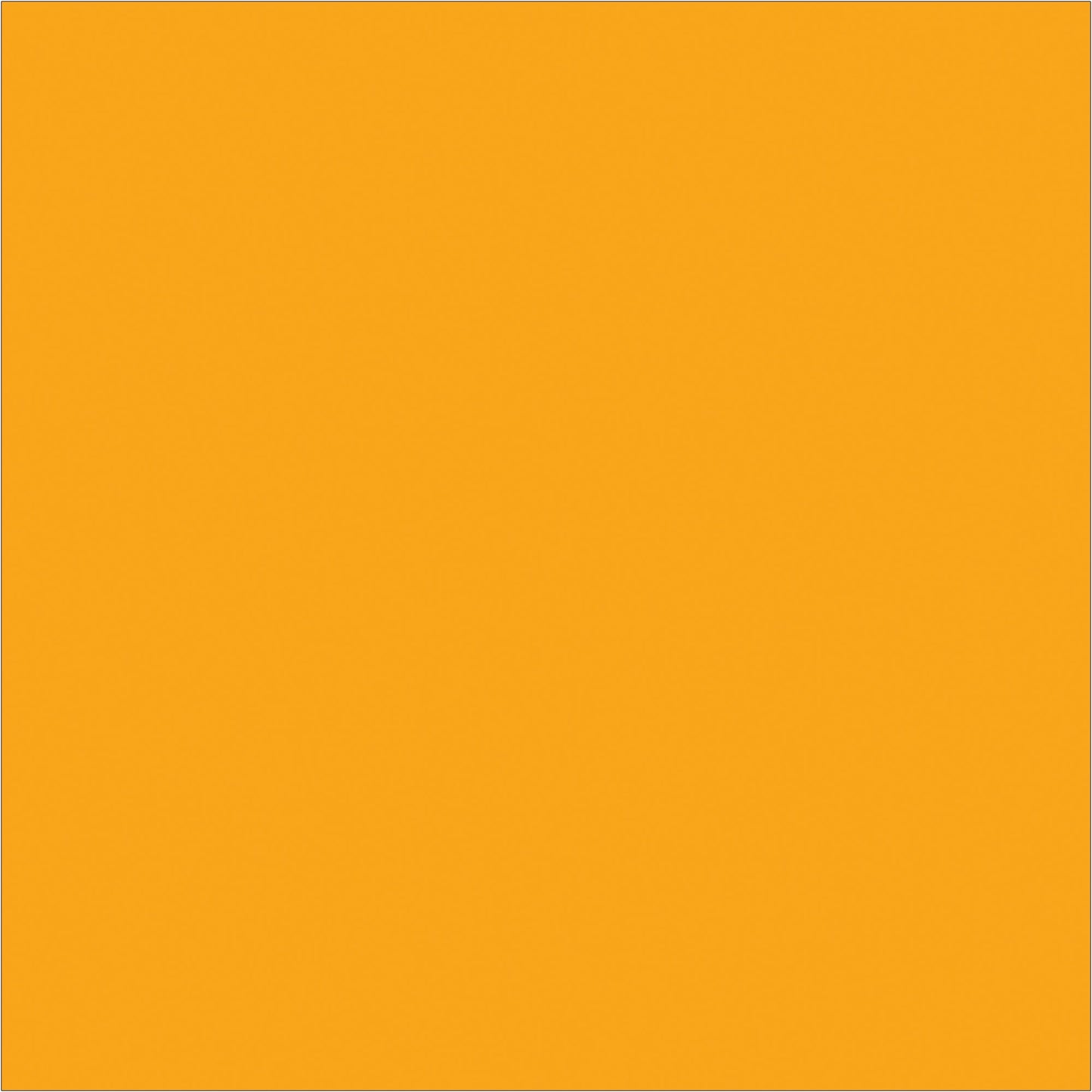 tape-logic-r-4-x-4-fluorescent-orange-inventory-rectangle-labels-dl638h_1