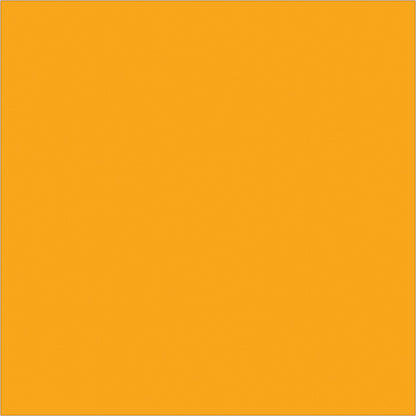 tape-logic-r-4-x-4-fluorescent-orange-inventory-rectangle-labels-dl638h_1