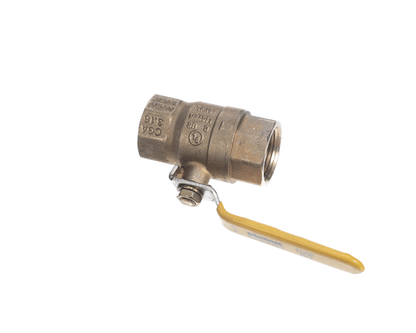 Dormont 100Fv 1 Fip X 1 Fip (Full Port Valve) (DR100FV)