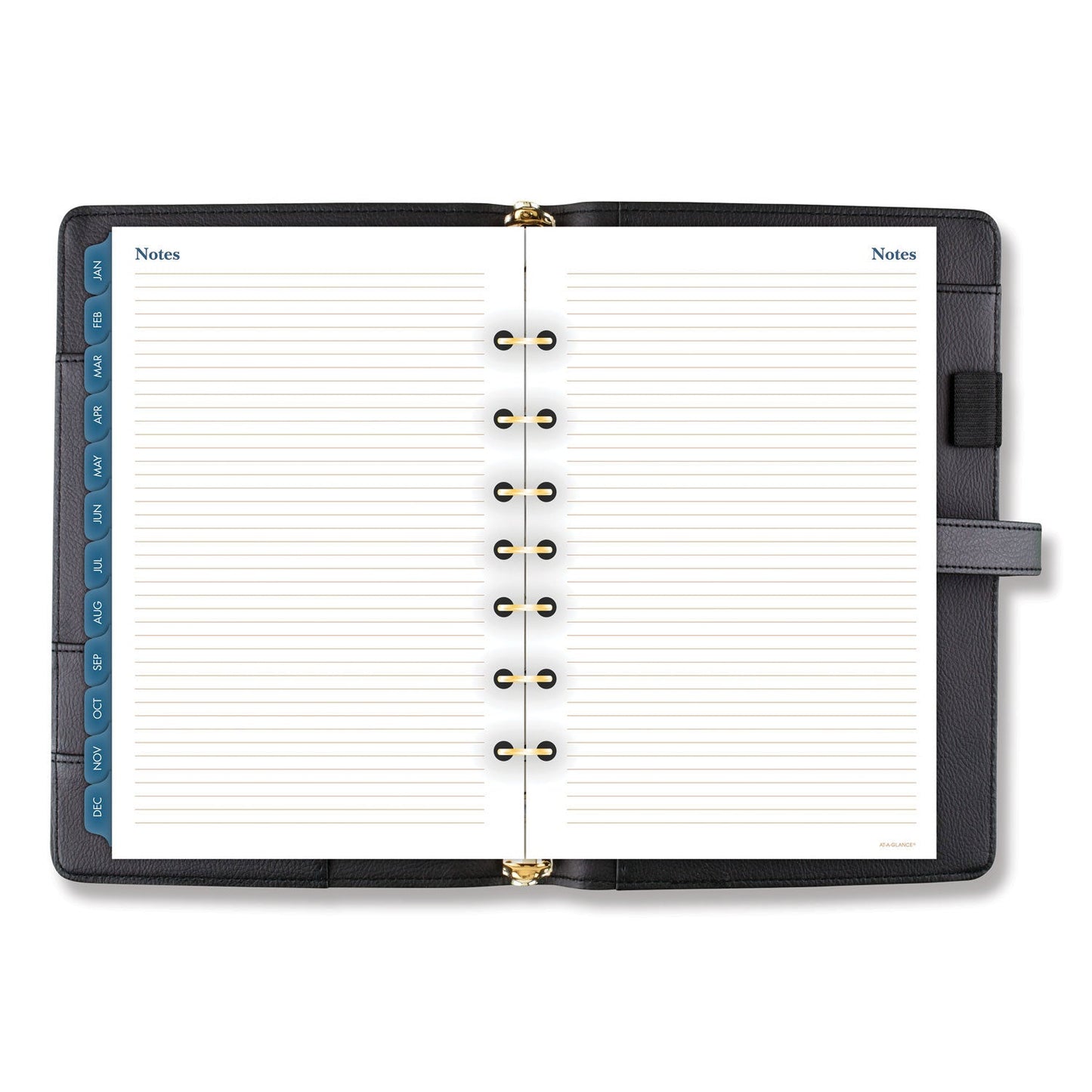 at-a-glance-buckle-closure-planner-organizer-starter-set-num-drndr111804005_3