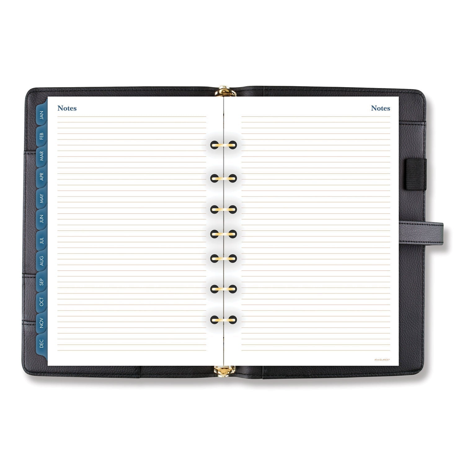 at-a-glance-buckle-closure-planner-organizer-starter-set-num-drndr111804005_3