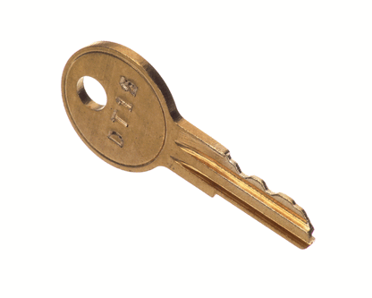 Detex Dt15Key Key (DTXDT15KEY)