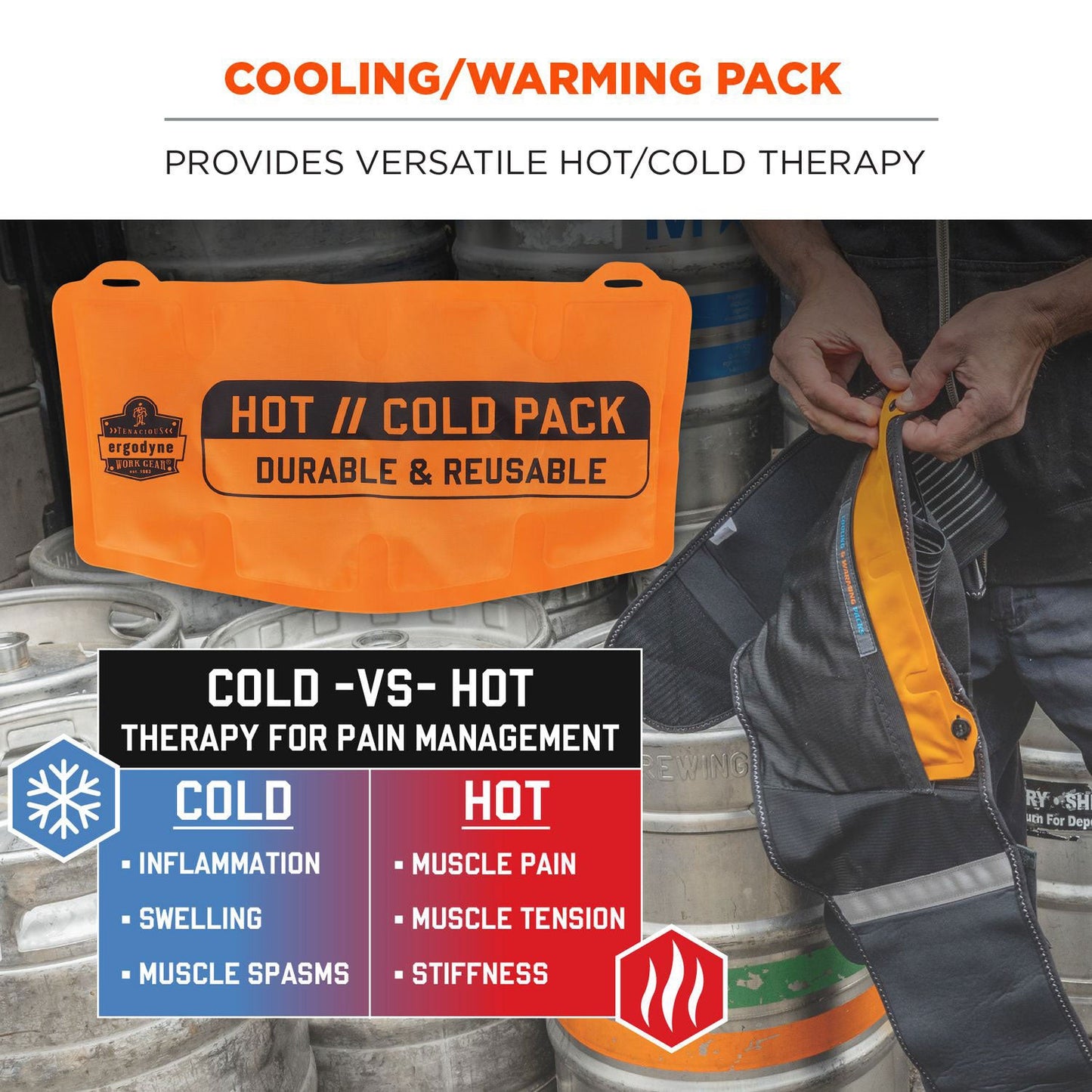 Ergodyne ProFlex 6275 Reusable Hot/Cold Pack Replacement, 13 x 6.7, 2/Pack (EGO12212)