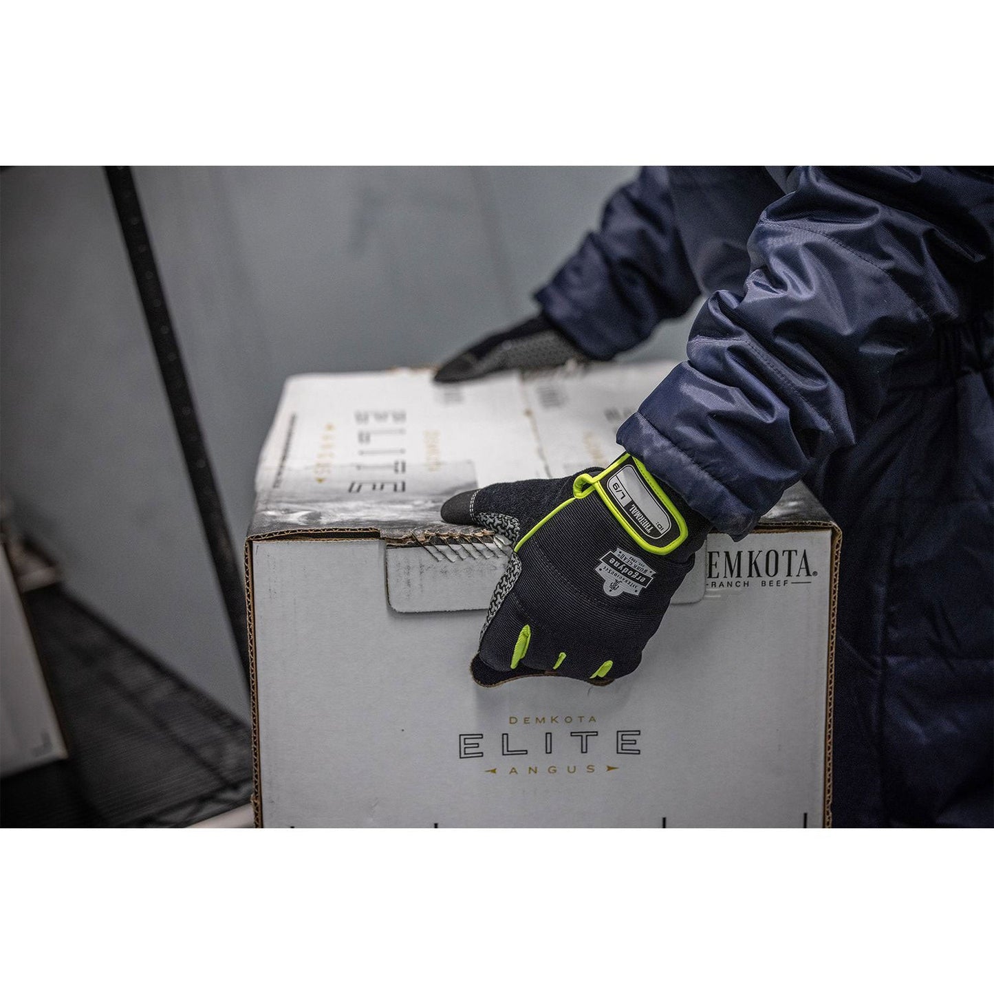 Ergodyne ProFlex 850 Insulated Freezer Gloves, Black, 2X-Large, Pair (EGO18156)
