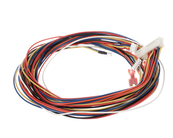 Elkay 1000001609 Harness - Basin Feed To Bf (ELK1000001609)