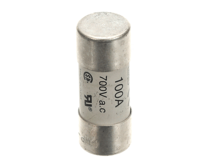 Electrolux Professional 0Ca148 Fuse, 700V 100A, 22X58 (ELX0CA148)