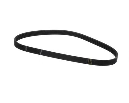 Electrolux Professional 0D1669 Belt (ELX0D1669)