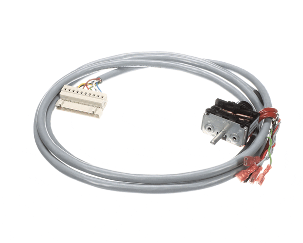 Electrolux Professional 0G3298 Switch, W. Poti/Cable - 10 Po (ELX0G3298)