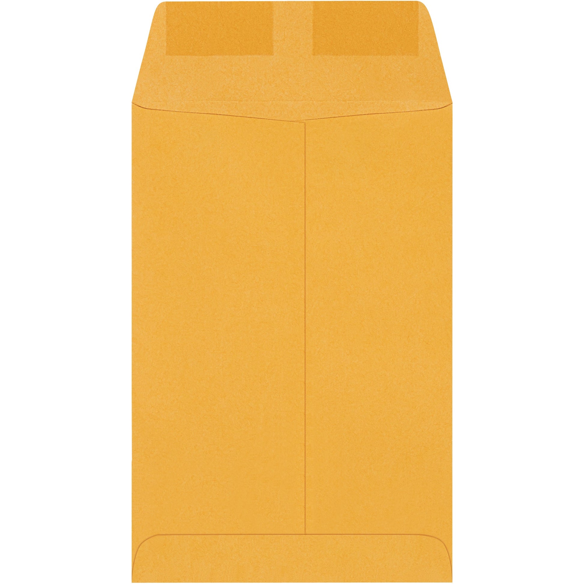 6-x-9-kraft-gummed-envelopes-en1020_1