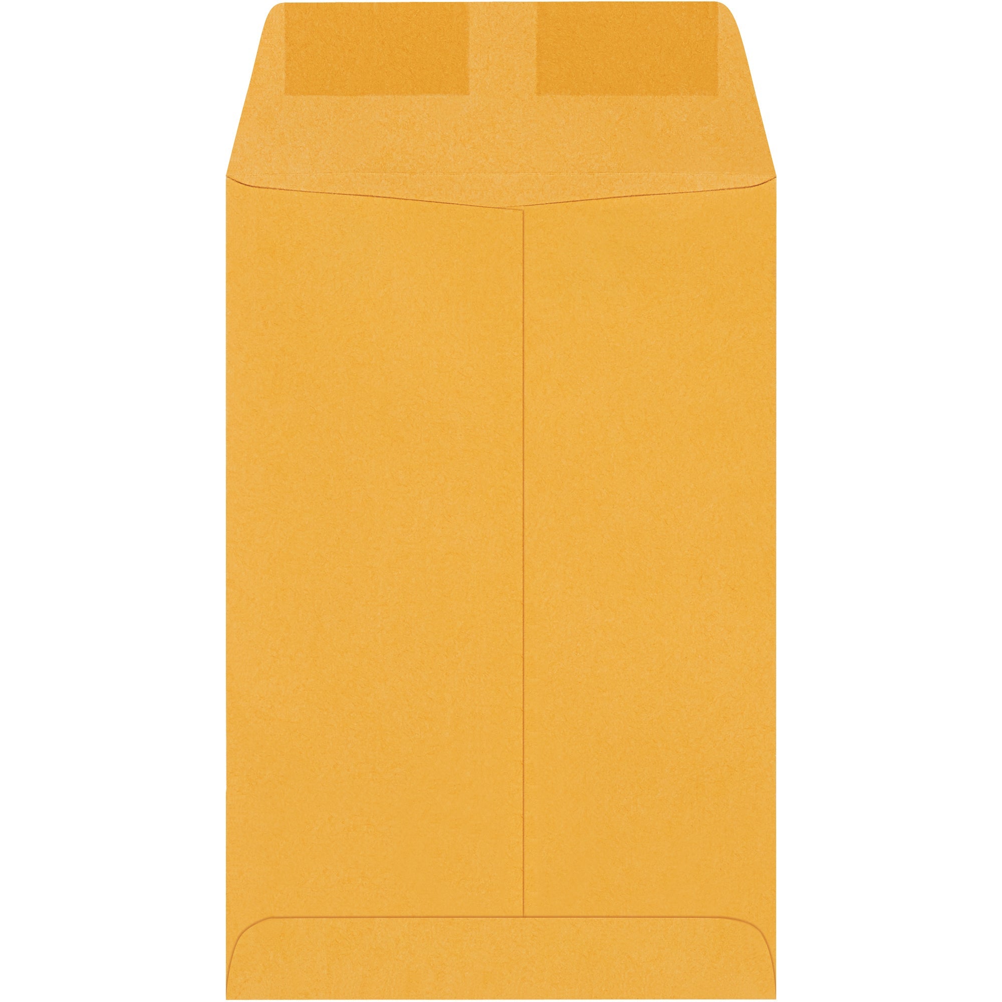6-x-9-kraft-gummed-envelopes-en1020_1
