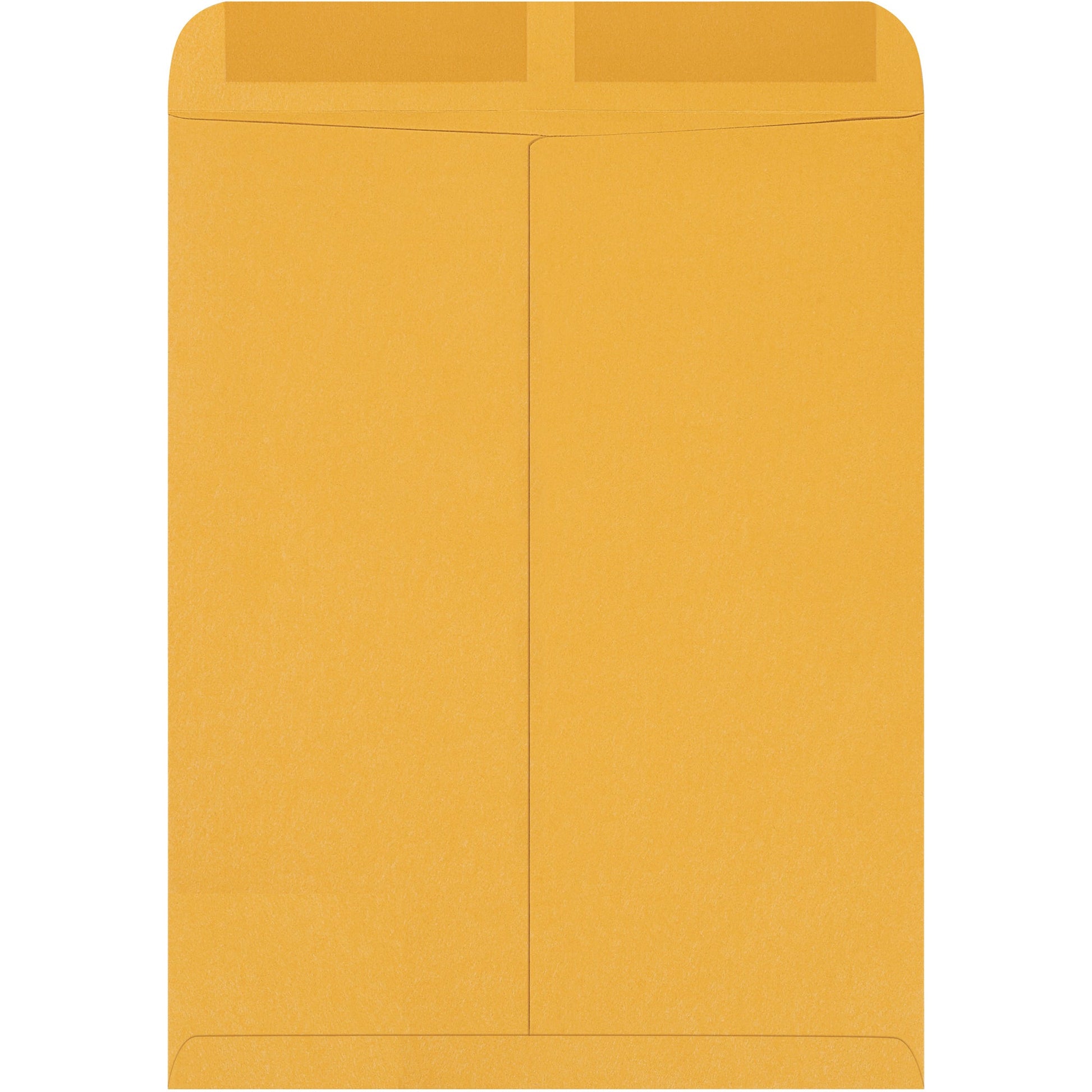 12-x-15-1-2-kraft-gummed-envelopes-en1024_1