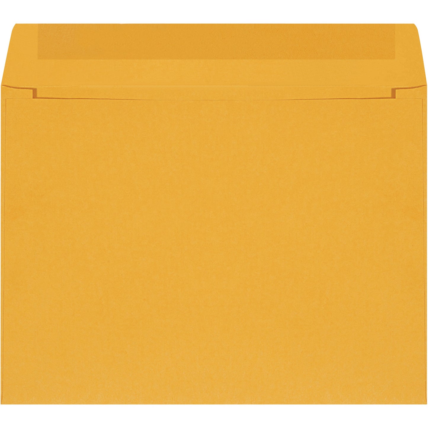 12-x-9-kraft-self-seal-envelopes-en1033_1