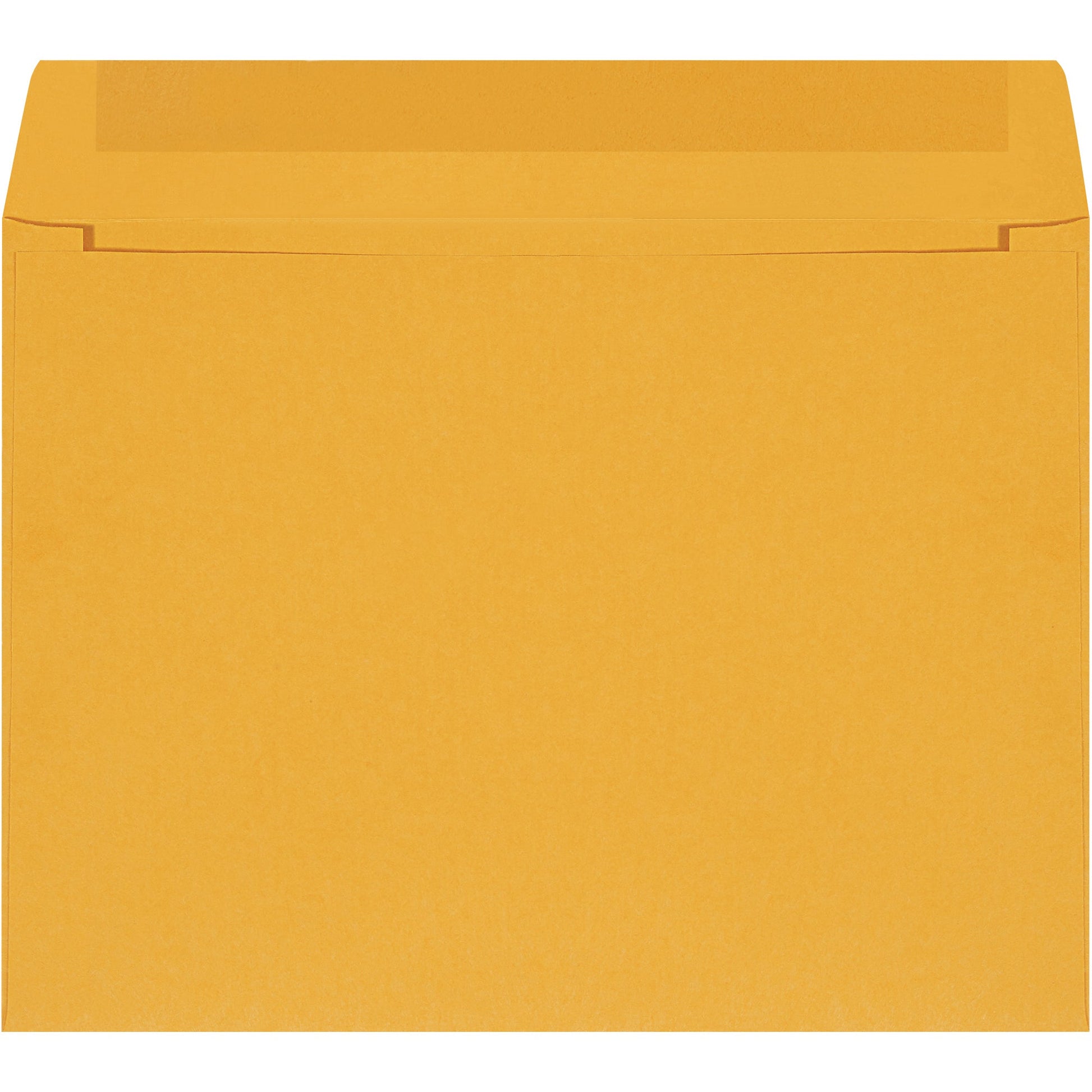 12-x-9-kraft-self-seal-envelopes-en1033_1
