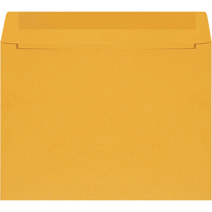 12-x-9-kraft-self-seal-envelopes-en1033_1