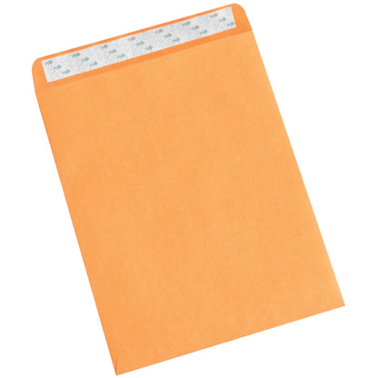 10-x-13-kraft-self-seal-envelopes-en1061_1