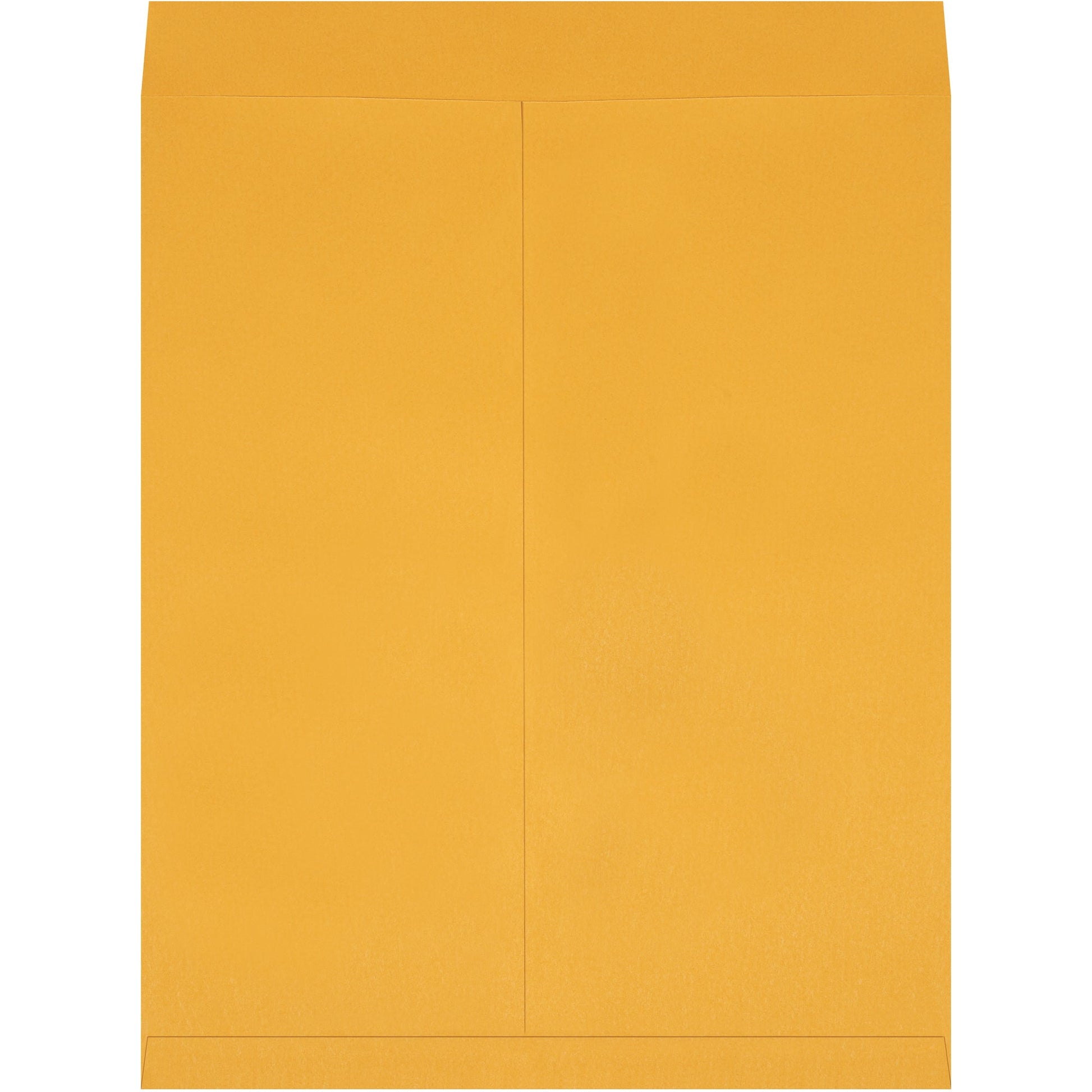 22-x-27-kraft-jumbo-envelopes-en1086_1
