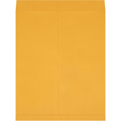 22-x-27-kraft-jumbo-envelopes-en1086_1