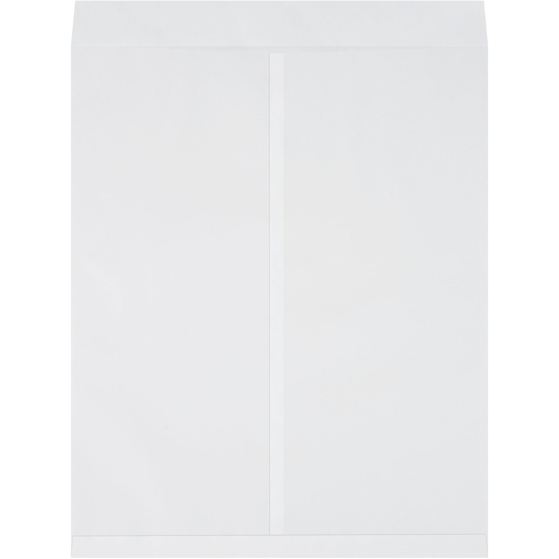22-x-27-white-jumbo-envelopes-en1086w_1