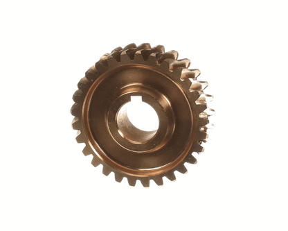 Eurodib Nm20A-21 Worm Wheel (EURNM20A-21)