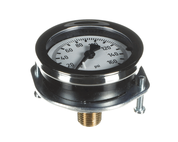 Everpure 530-20018 Pg - 2" - 160Psi - 1/4Mpt Cbm Pnl (EVE530-20018)