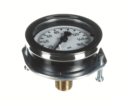 Everpure 530-20018 Pg - 2" - 160Psi - 1/4Mpt Cbm Pnl (EVE530-20018)