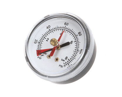 Everpure Ev306818 Back Mnt Brass Gauge 0-125 Psi (EVEEV306818)