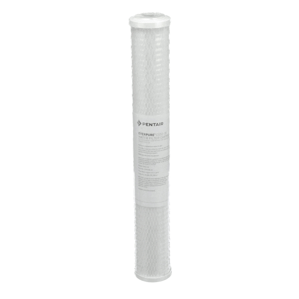 Everpure Ev910863 Cg53-20 (EVEEV910863)