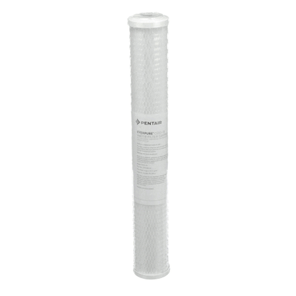 Everpure Ev910863 Cg53-20 (EVEEV910863)