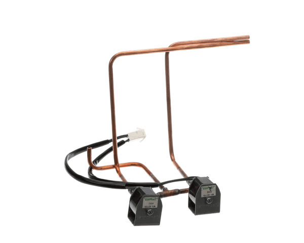 Everest Sv01-00 Solenoid Valve Assembly (EVRSV01-00)