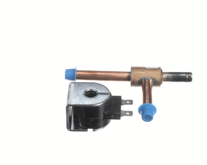 FBD 46-0102-0013 Expansion Valve Assy, Hp160 (FBD46-0102-0013)