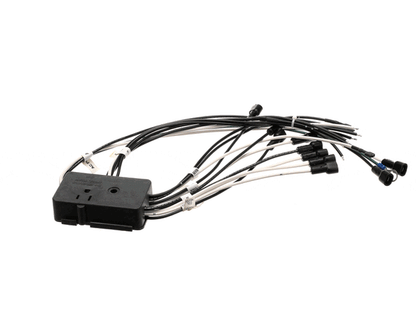 Franke Foodservice System 19004376 Wiring Harness (FFS19004376)