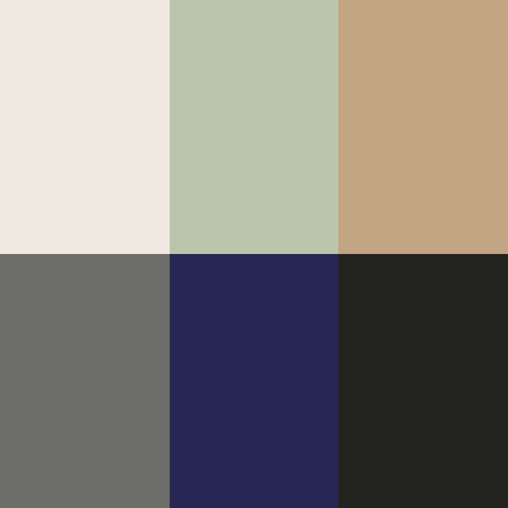 Arkwright Home® Cozy Soft Polar Fleece Throw 50x60 Assorted, 12/Case (FLC-PLR506012PK-ASST)