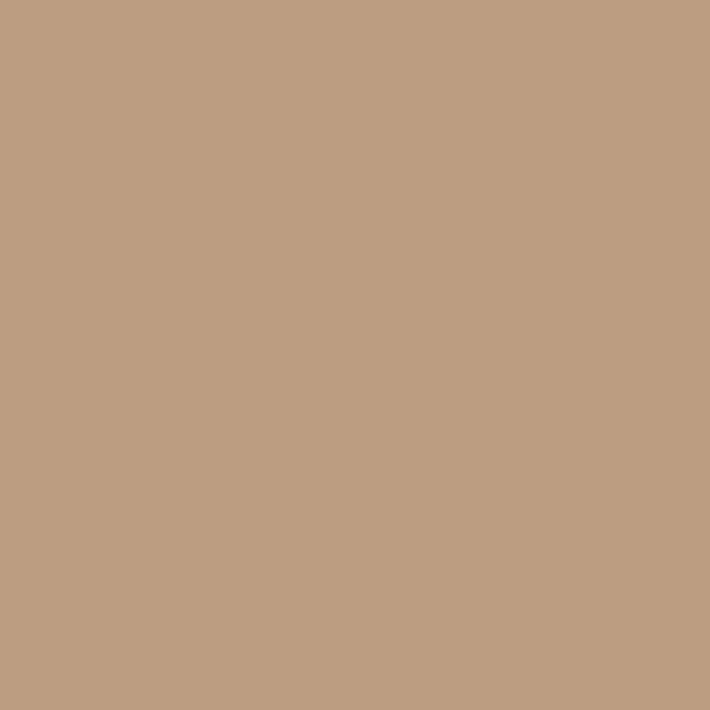 Arkwright Home® Cozy Soft Polar Fleece Throw 50x60 Beige, 24/Case (FLC-PLR-5060-6PK-BG)