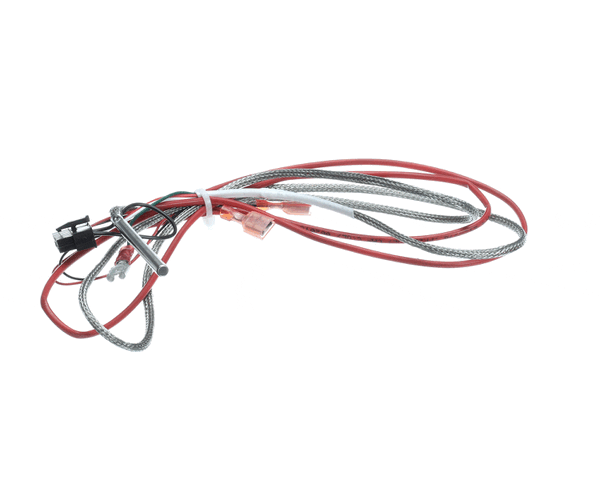 Frymaster 1080656 Ais Rtd Probe And Harness Pos1 (FM1080656)
