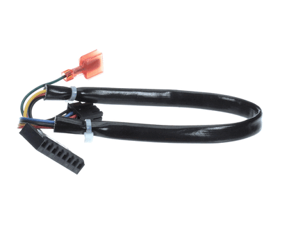 Frymaster 8075987 Harness, Fenwal Module Dv (FM8075987)