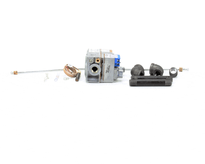 Frymaster 8261643 Kit,24V Rbs To Hnywl Nat Cnv (FM8261643)