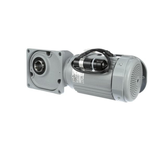 Follett 00130799 Gearmotor, 120V (FOL00130799)