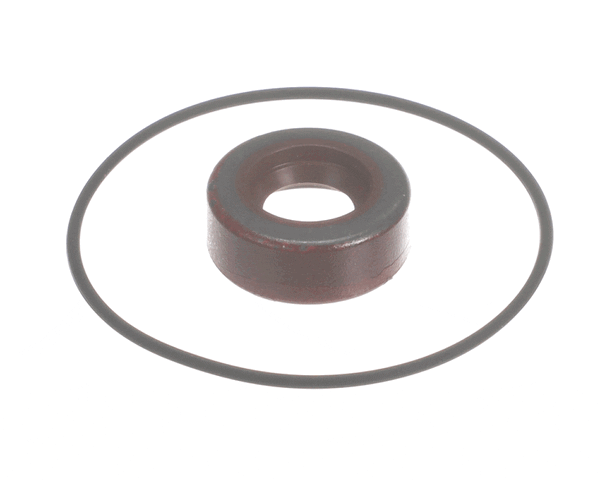 Frontline International 60030024 Seal Kit For Haight 1/3Hp Motor/Pump (FRO60030024)
