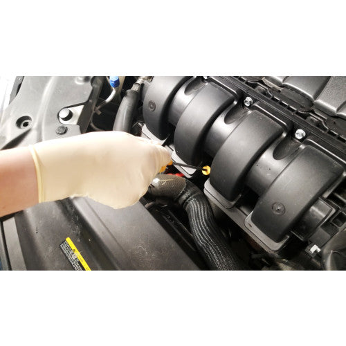 Hand Armor® Latex Gloves, Powder Free, 8 mil, Small, Box of 100 (HOSGDL165S)