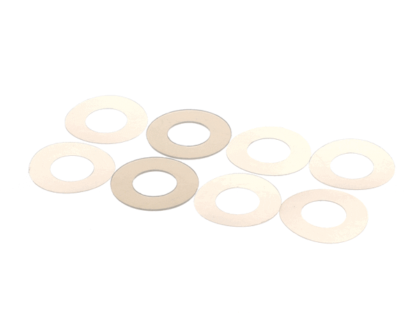 Globe 800164 Washer Kit, End Weight Face (GLO800164)