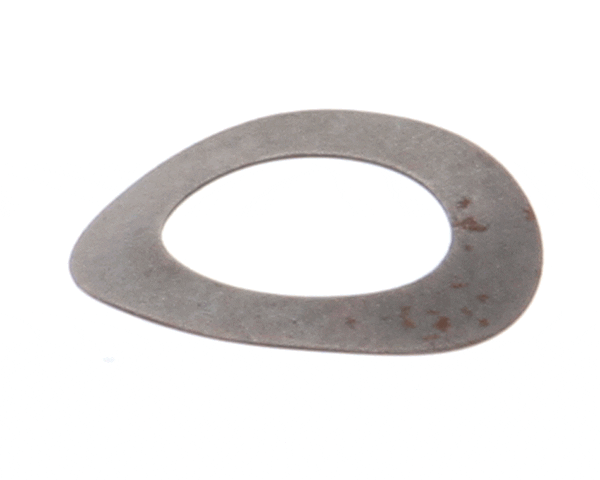 Globe 810 Motor Gear Bowed Washer (GLO810)