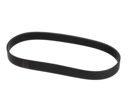 Globe L02093 Belt (5F-4236) (GLOL02093)