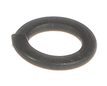 Globe X08008 Spring Washer (GLOX08008)